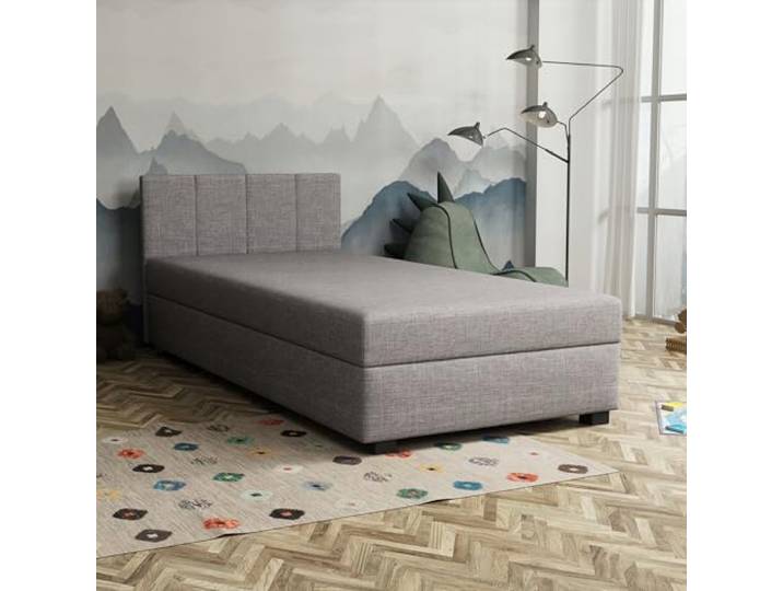 TAPCZANY24 - Boxspringbett Adel 120x200 cm mit Bonell Matratze Bett mit Matratze, Polsterbett mit Bettkasten, Gepolstertes Einzel Bett, Schlafsofa - Grau