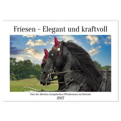Friesen - elegant und kraftvoll (Wandkalender 2027 DIN A2 quer), CALVENDO Monatskalender
