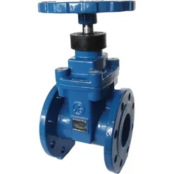 SFA Absperrschieber DN 80 GG HYDRO-00096 passend für Sanipump VX 80