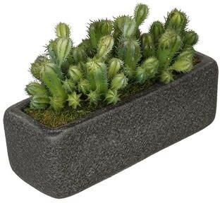 House of Silk Flowers Faux Thimble Cactus Garden in Black Sandy-Texture Ceramic Vase