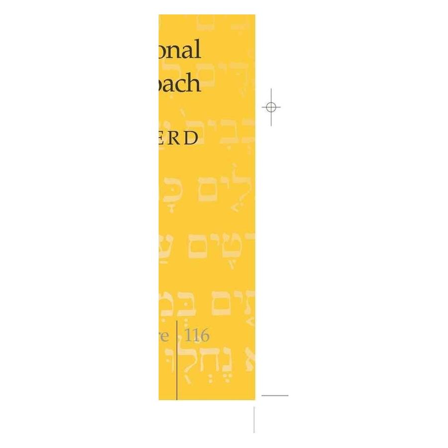 Peter Lang Shepherd:The Verbal System of Biblical (Englisch, Hardcover, Michael B. Shepherd) (67747442)