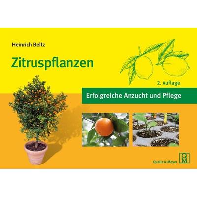Zitruspflanzen, Taschenbuch von Heinrich Beltz, Quelle & Meyer, 978-3-494-02273-4