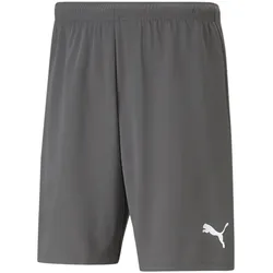 PUMA teamRISE Shorts Herren smoked pearl/puma white XXL
