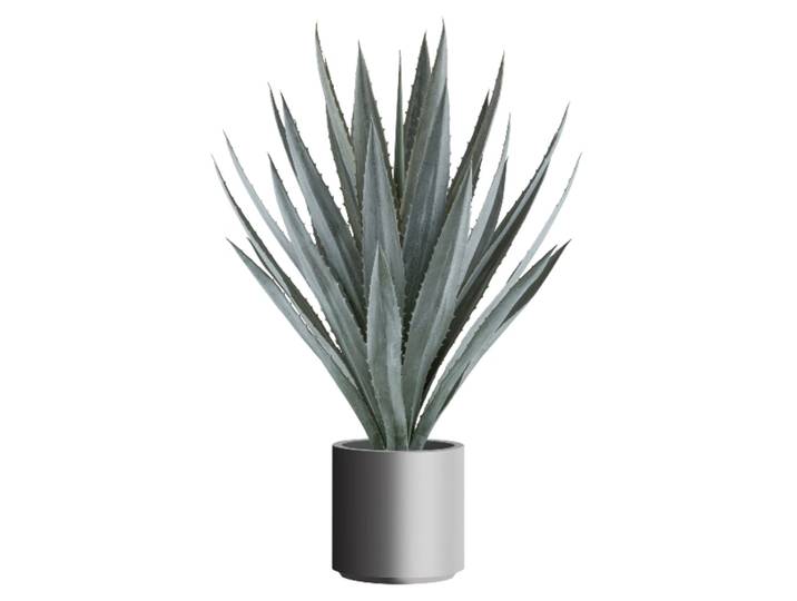 Kunstpflanzen Agave / H: 110 cm Gasper