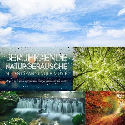 Beruhigende Naturgeräusche mit entspannender Musik (XXL-Bundle) - Klangwerkstatt für Entspannungsmusik, Audio, 4066338491565