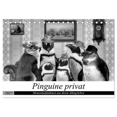 Pinguine privat (Tischkalender 2027 DIN A5 quer), CALVENDO Monatskalender