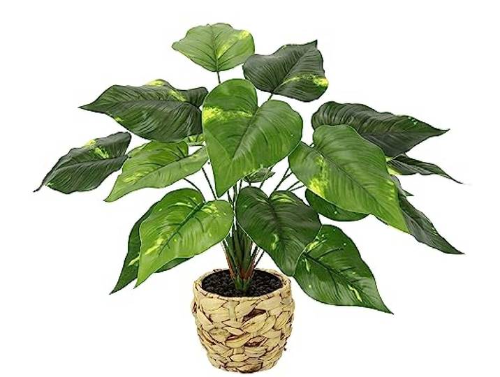 Künstliche Pothospflanze im Korb Pothos Pflanze Goldene Efeutute Zimmerpflanze Kunst Deko Seidenblume Real Touch grün Kunstpflanze Kunstblume Blattpflanze Dekopflanze Grünpflanze Busch Aronstabgewächs