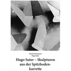 Hugo Suter - Skulpturen aus der Spitzbodenkarrette, Fachbücher von Martin Steinmann, Hugo Suter