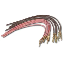  ISO Stecker mit Kabel CHP 