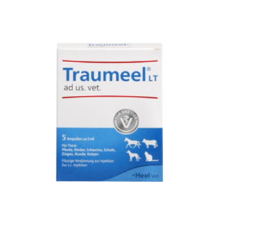Biologische Heilmittel Heel GmbH TRAUMEEL LT ad us.vet.Ampullen 100X5 ml 15895712