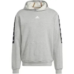 ADIDAS Herren Kapuzensweat M BL HD, Größe M in Grau Grau