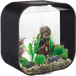 biOrb LIFE 30 MCR schwarz (72054)