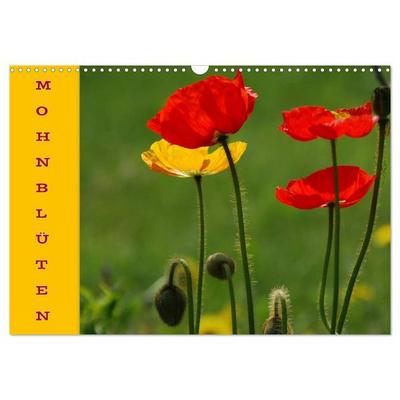MOHNBLÜTEN (Wandkalender 2026 DIN A3 quer), CALVENDO Monatskalender