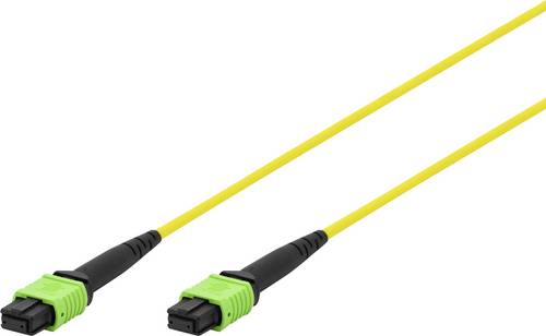 Digitus DK-2966-05 Glasfaser LWL, Glasfaser Anschlusskabel 5m Gelb, Schwarz, Grün [1x MPO Buchse, MPO APC-Buchse - 1x MPO Buchse