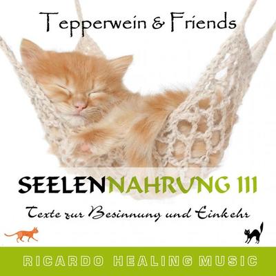 Seelennahrung 3: Texte zur Besinnung und Einkehr (Tepperwein and Friends) - , Audio, 4250701951040