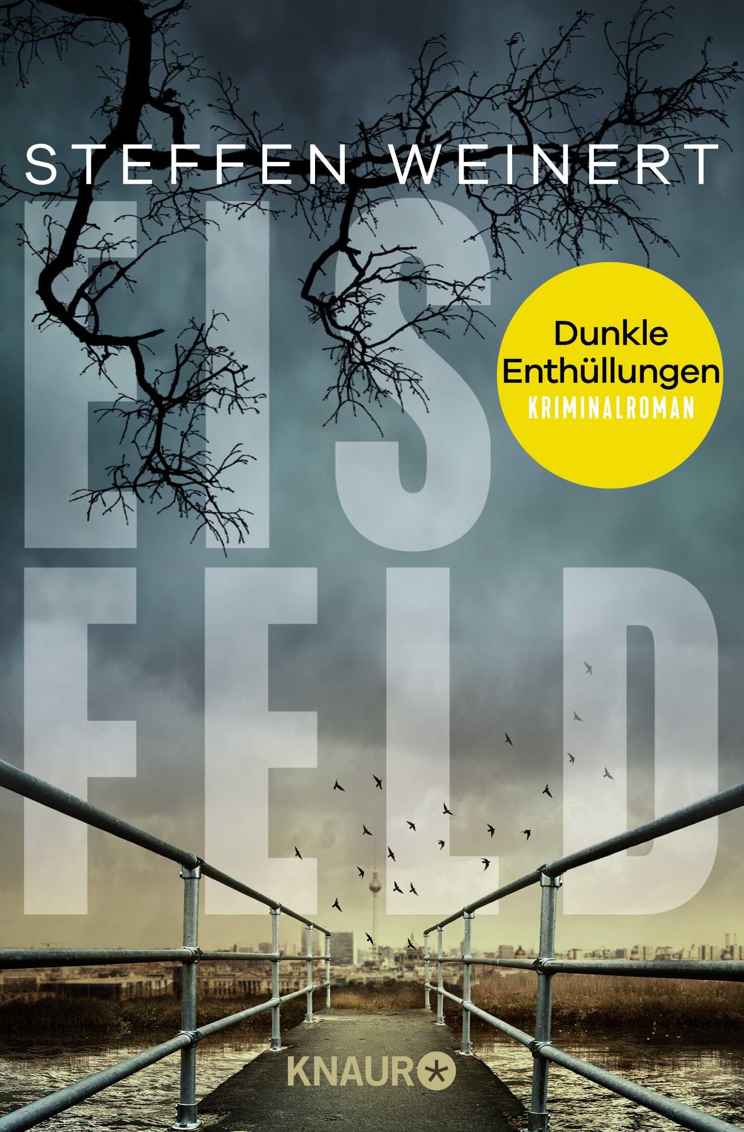 Steffen Weinert - Eisfeld – Dunkle Enthüllungen: Kriminalroman Der zweite Band der fesselnden Berlin-Krimireihe – ein toter Journalist, ein düsteres Geheimnis und ... unter Druck. (Mara Eisfeld ermittelt, Band 2) - Preis vom 13.10.2026 19:28:25 h
