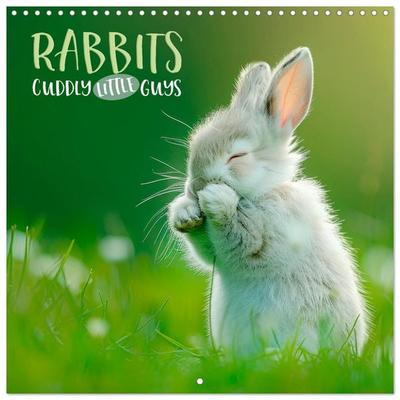RABBITS Cuddly little guys (Wall Calendar 2027 12 × 12 Inch) CALVENDO 12 Month Wall Calendar