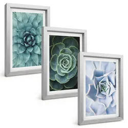 BILDER SET 3er Set - 20x30 cm Silberner Rahmen - Sukkulente Pflanzen grün türkis