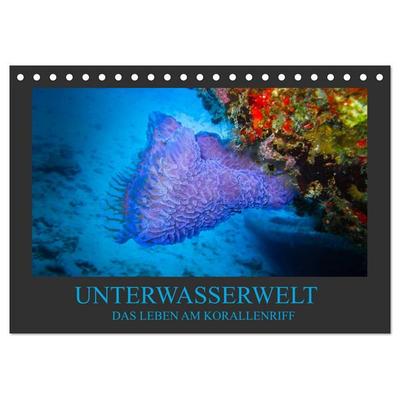 Unterwasserwelt - Das Leben am Korallenriff (Tischkalender 2026 DIN A5 quer), CALVENDO Monatskalender