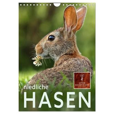Niedliche Hasen (Wandkalender 2027 DIN A4 hoch), CALVENDO Monatskalender