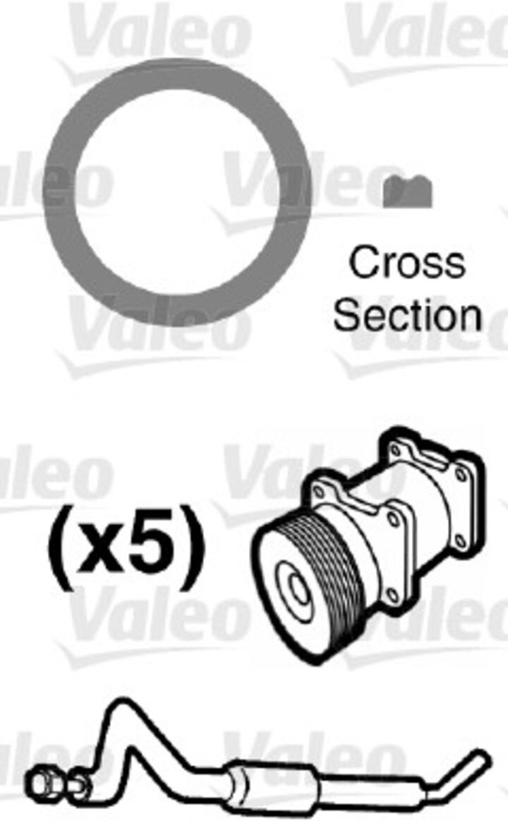 Valeo Kit di conversione, aria condizionata 509550