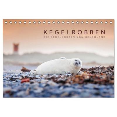 Kegelrobben - Die Kegelrobben von Helgoland (Tischkalender 2027 DIN A5 quer), CALVENDO Monatskalender