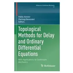 Topological Methods for Delay and Ordinary Differential Equations, Fachbücher von Pierluigi Benevieri, Pablo Amster