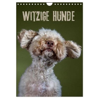 Witzige Hunde (Wandkalender 2027 DIN A4 hoch), CALVENDO Monatskalender