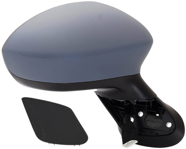 TYC 309-0065 Wing mirror