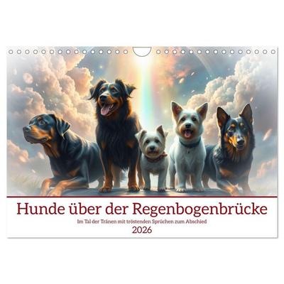 Hunde über der Regenbogenbrücke (Wandkalender 2026 DIN A4 quer), CALVENDO Monatskalender