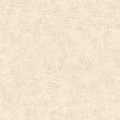 Veer Decor Pampas Plain Brushed Texture Wallpaper