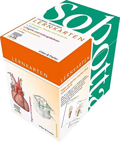 Lars Bräuer - Sobotta Lernkartenpaket - Preis vom 17.10.2026 19:25:27 h
