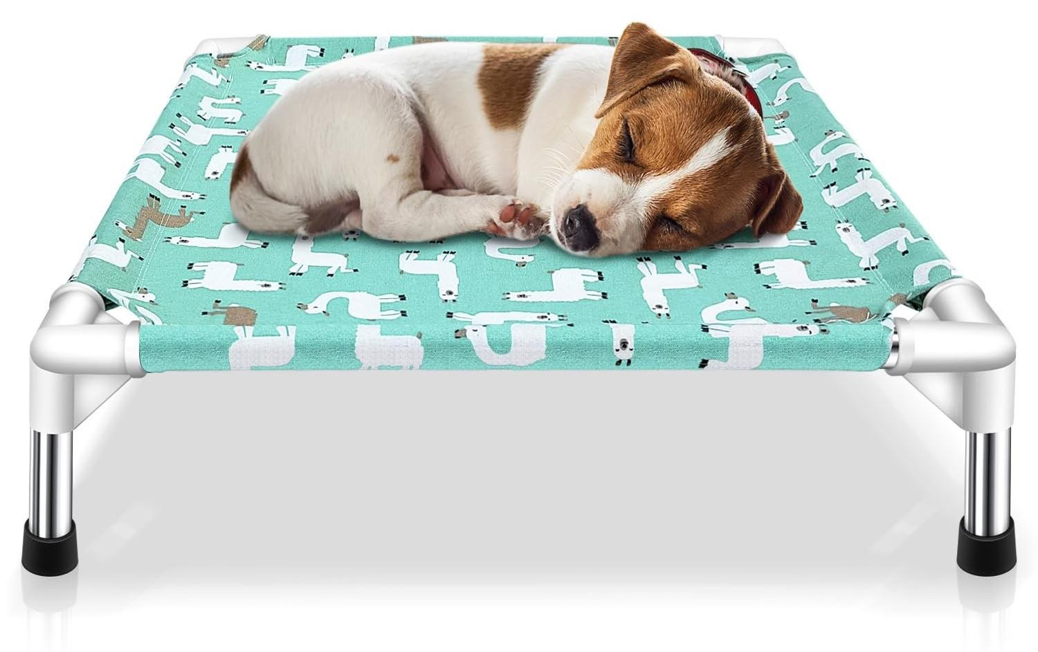 Verhoogd hondenhok voor kleine honden met antislipvoetjes