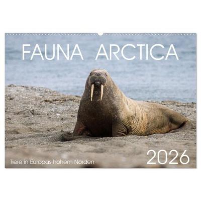 Fauna arctica (Wandkalender 2026 DIN A2 quer), CALVENDO Monatskalender