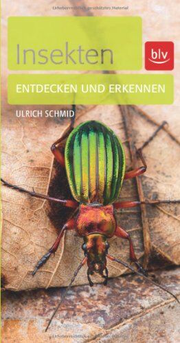 Ulrich Schmid - Insekten: Entdecken und erkennen - Preis vom 13.10.2026 19:28:25 h