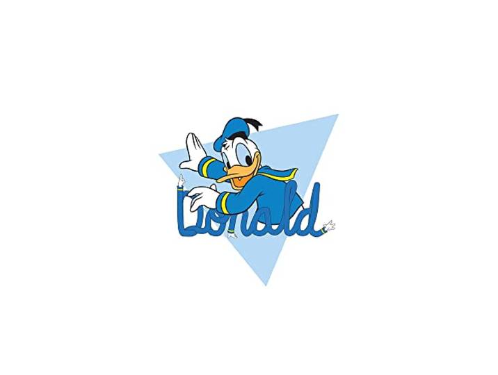 Komar Donald Duck Triangle – Dimensions : 50 x 70 cm\, Tableau mural\, poster\, impression d'art (sans cadre)\, Disney