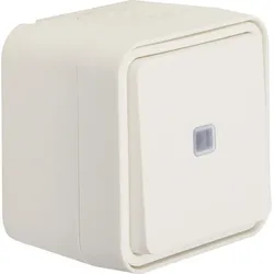 Berker Kontroll-Wechselschalter 31763502