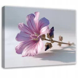 LEINWANDBILD Blumen Natur Rosa 60x40 cm