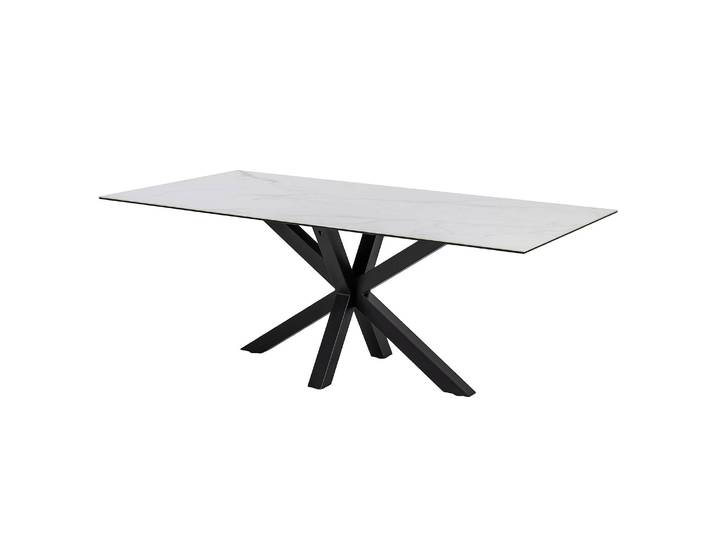 Table Holcot - rectangulaire 200 x 100cm Blanc/Imitation marbre blanc