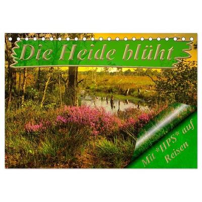 Die Heide blüht (Tischkalender 2026 DIN A5 quer), CALVENDO Monatskalender