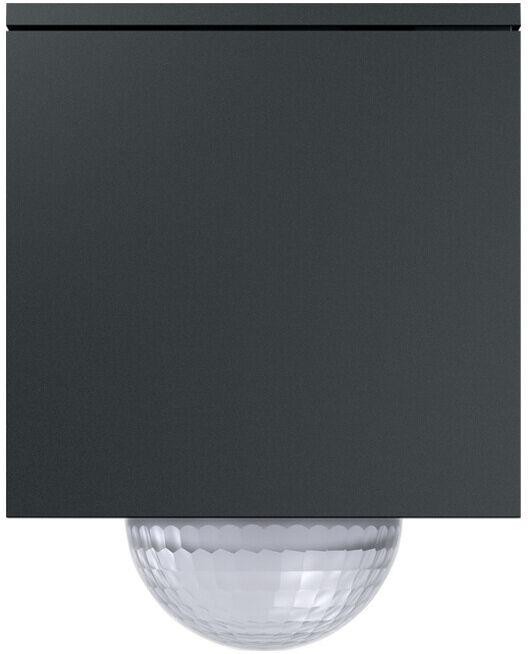 Gira Wächter anthracite 244410 (244410)