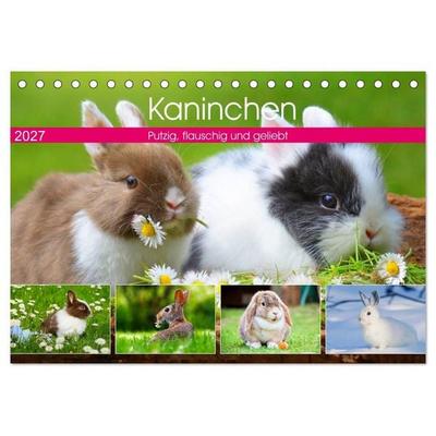 Kaninchen. Putzig, flauschig und geliebt (Tischkalender 2027 DIN A5 quer), CALVENDO Monatskalender