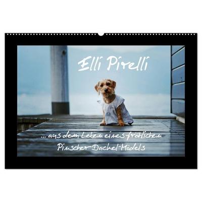 Elli Pirelli... aus dem Leben eines fröhlichen Pinscher-Dackel-Mädels (Wandkalender 2027 DIN A2 quer), CALVENDO Monatskalender