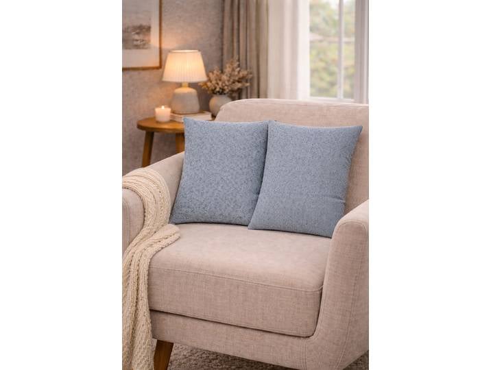 Coussin décoratif Lucio ensemble de 2 Bleu/Ardoise 50 x 50cm Polyester