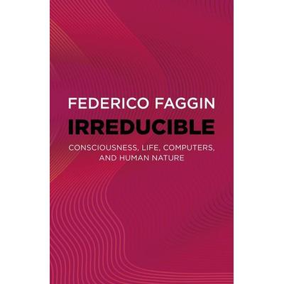 Irreducible, Taschenbuch von Federico Faggin, Durnell Wiley, 978-1-80341-509-3