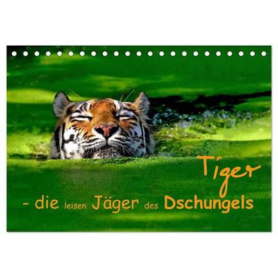Tiger - die leisen Jäger des Dschungels (Tischkalender 2026 DIN A5 quer), CALVENDO Monatskalender