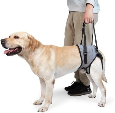 Inspired Deals ComfortLift Dog Lift Harness For Senior & Injured Dogs With Hind Leg Support L