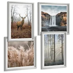 BILDER SET 4er Set - 50x50 cm & 40x60 cm Silberner Rahmen - Waldlandschaften der Wildnis