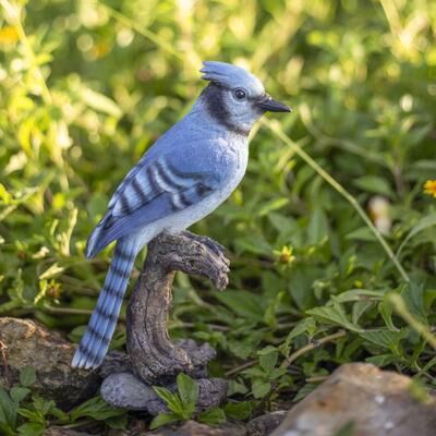 Hi-Line SoReal Blue Jay on stump