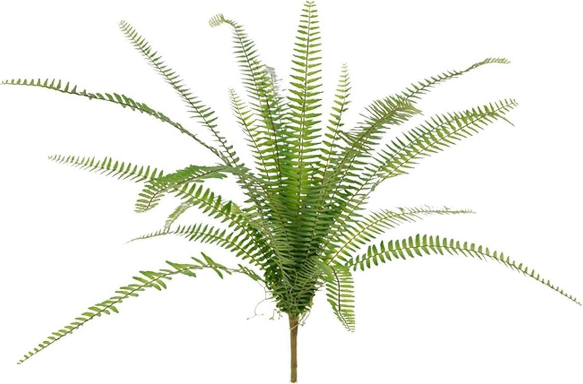 Asplenium Varen kunstplant, 75 cm, Groen